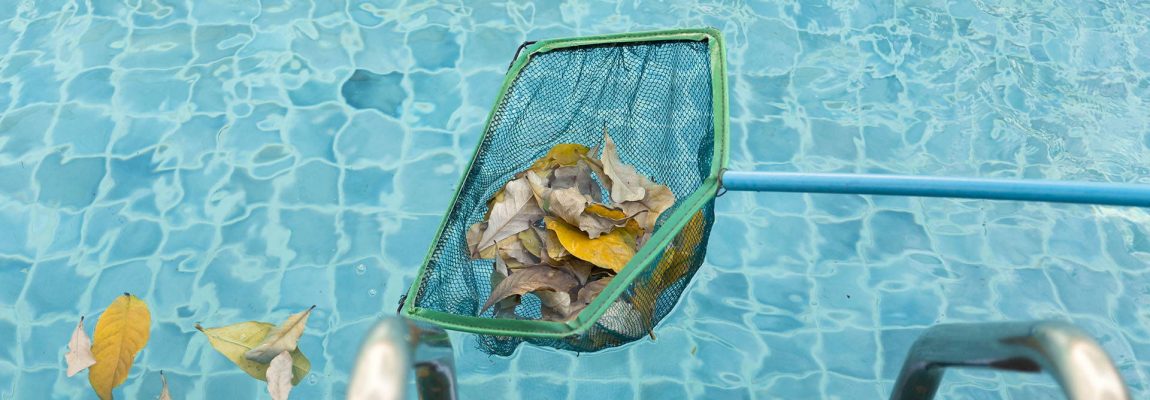 Pool Cleaning Services in Wellington