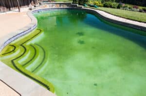 Pool Cleaning Services in Wellington